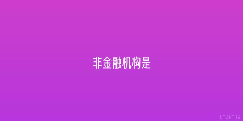 非金融机构是