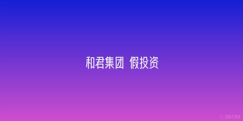 和君集团 假投资